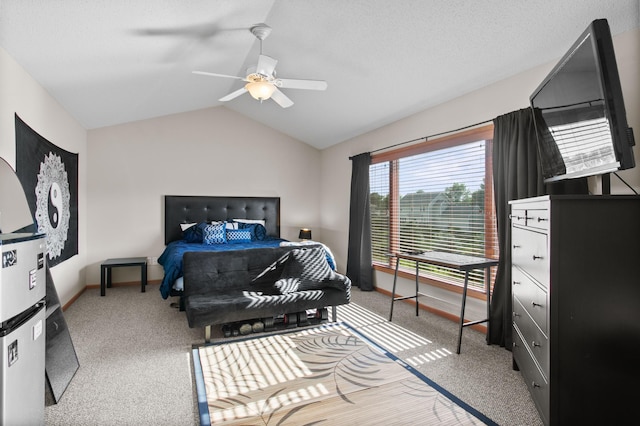 10013 Georgia Ave N, Brooklyn Park, MN 55445 - photo 20