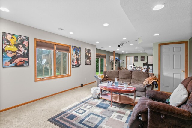 10013 Georgia Ave N, Brooklyn Park, MN 55445 - photo 38