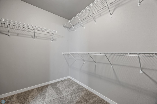 1250 5th St NW, West Fargo, ND 58078 - photo 19