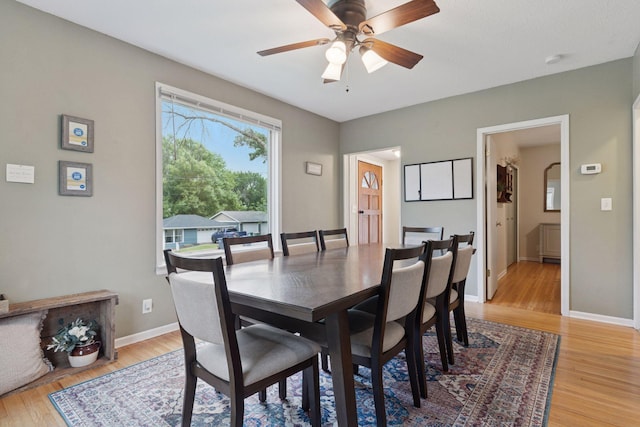 225 Forest St, Belle Plaine, MN 56011 - photo 6