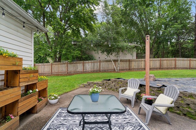 225 Forest St, Belle Plaine, MN 56011 - photo 30