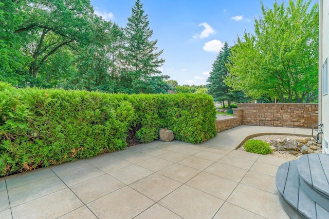 10535 Forestview Cir N, Champlin, MN 55316 - photo 5