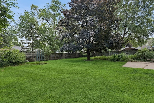 8439 Portland Ave S, Bloomington, MN 55420 - photo 32