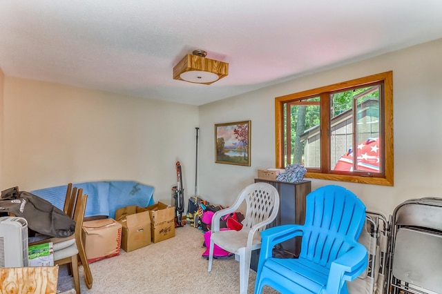 11494 Ravenswood Beach Rd, Detroit Lakes, MN 56501 - photo 72