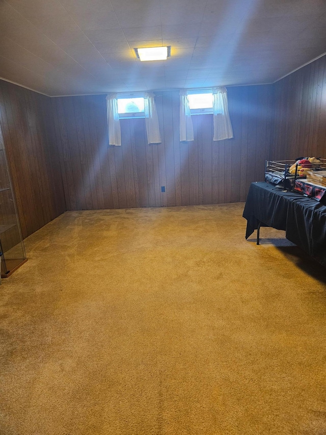 5306 Boulder Ln, Brooklyn Center, MN 55429 - below grade area featuring carpet and wood walls