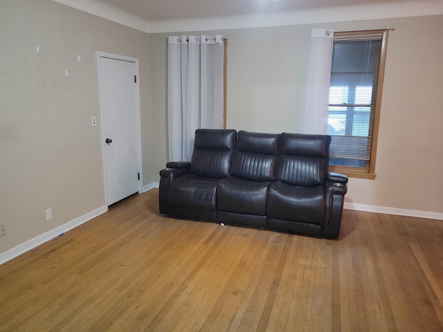 302 3rd St W, Hastings, MN 55033 - living room featuring hardwood / wood-style floors