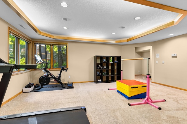 6354 Oxbow Bnd, Chanhassen, MN 55317 - workout room with a tray ceiling, carpet floors, a textured ceiling, and recessed lighting