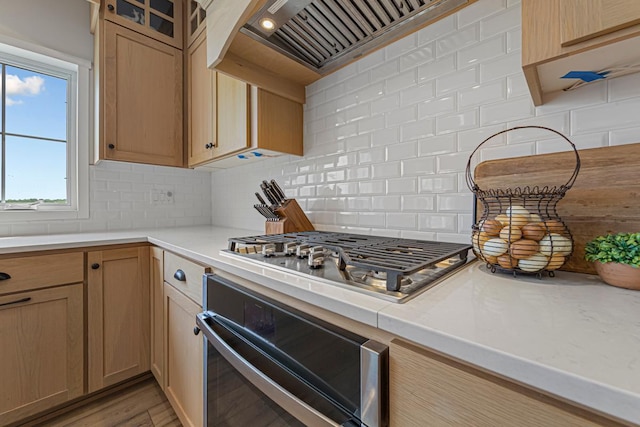 13827 Halstad Ave, Lonsdale, MN 55046 - kitchen with appliances with stainless steel finishes, custom exhaust hood, light countertops, decorative backsplash, and glass insert cabinets