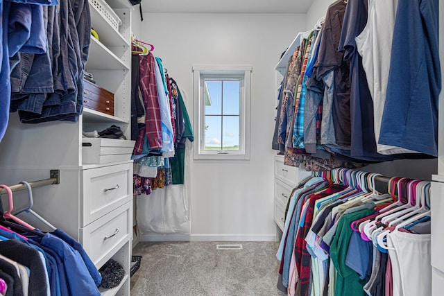 13827 Halstad Ave, Lonsdale, MN 55046 - spacious closet featuring carpet