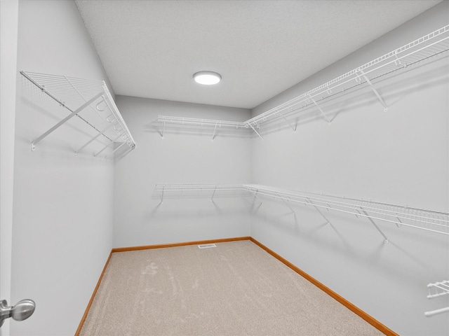 1788 Fescue Ct, Shakopee, MN 55379 - spacious closet featuring carpet floors