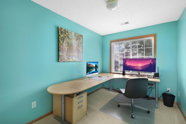 314 Archibald Ln, Dundas, MN 55019 - home office with carpet flooring and a textured ceiling