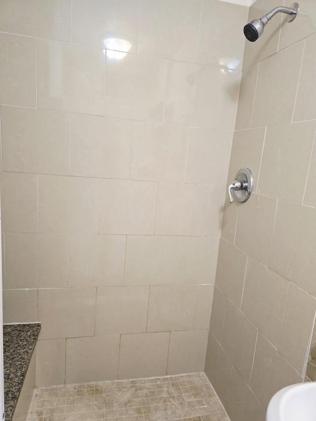 915 14th Ave SE, Austin, MN 55912 - full bath with tiled shower