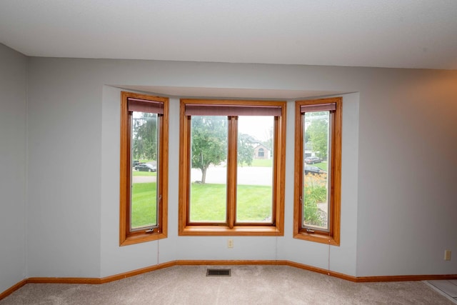 6262 Fernbrook Ln N, Maple Grove, MN 55311 - carpeted empty room featuring plenty of natural light