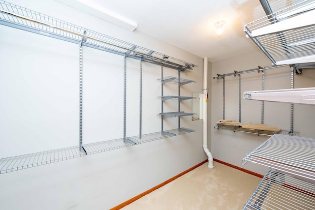 6262 Fernbrook Ln N, Maple Grove, MN 55311 - spacious closet with carpet flooring