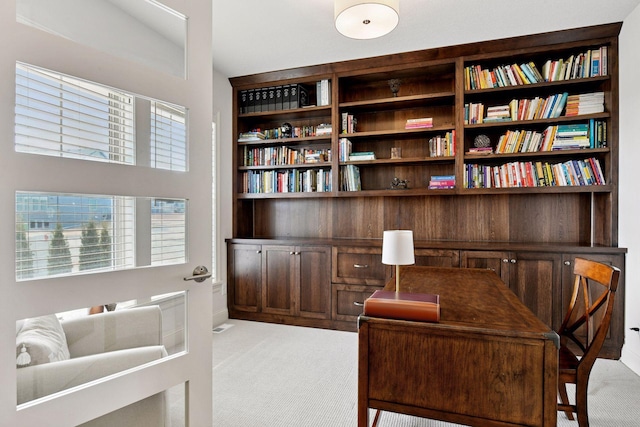 6333 Yuma Ln N, Maple Grove, MN 55311 - office with light colored carpet