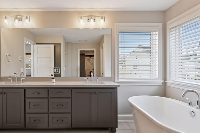6333 Yuma Ln N, Maple Grove, MN 55311 - bathroom featuring plenty of natural light, double vanity, and a freestanding bath