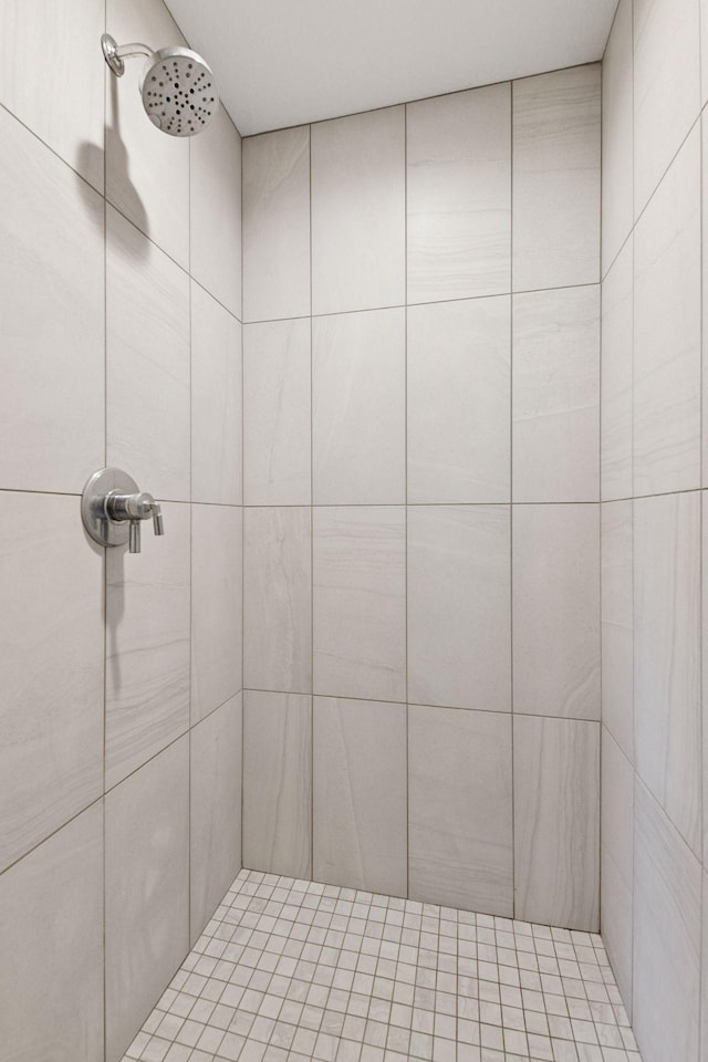 6333 Yuma Ln N, Maple Grove, MN 55311 - bathroom with a tile shower