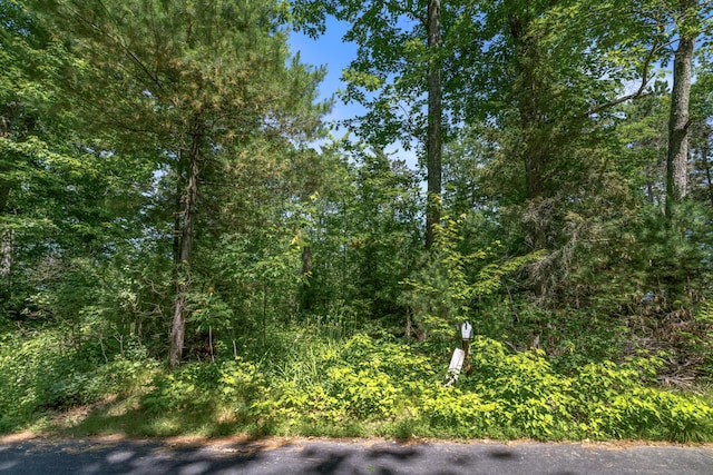 14288W Poplar Ln, Bass Lake Twp, WI 54843 - photo 2