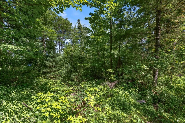 14288W Poplar Ln, Bass Lake Twp, WI 54843 - photo 3