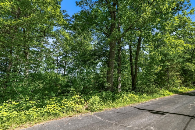 14288W Poplar Ln, Bass Lake Twp, WI 54843 - photo 4