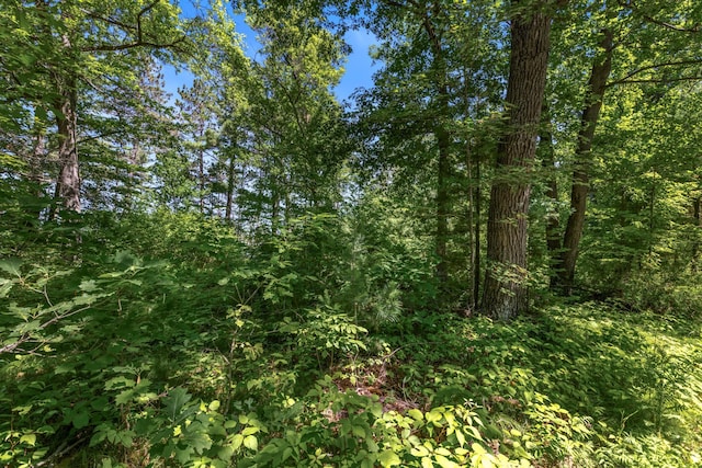 14288W Poplar Ln, Bass Lake Twp, WI 54843 - photo 5