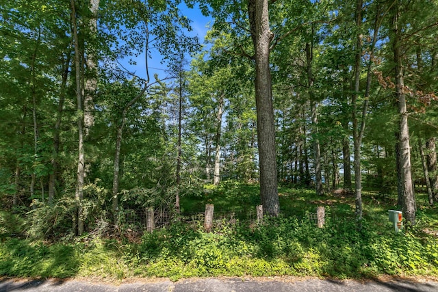 14288W Poplar Ln, Bass Lake Twp, WI 54843 - photo 6