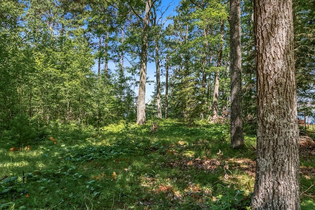 14288W Poplar Ln, Bass Lake Twp, WI 54843 - photo 7
