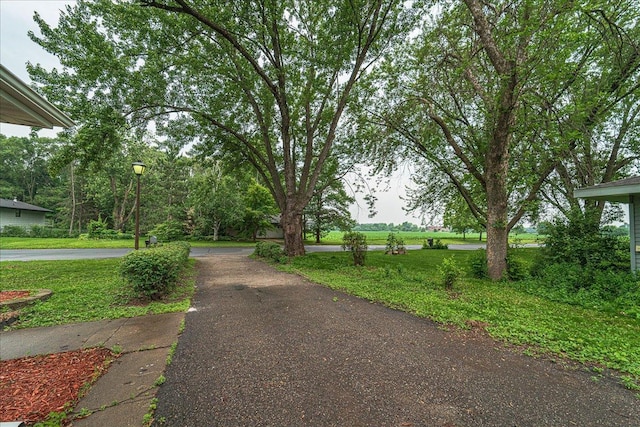 3667 205th St W, Farmington, MN 55024 - view of road with street lighting