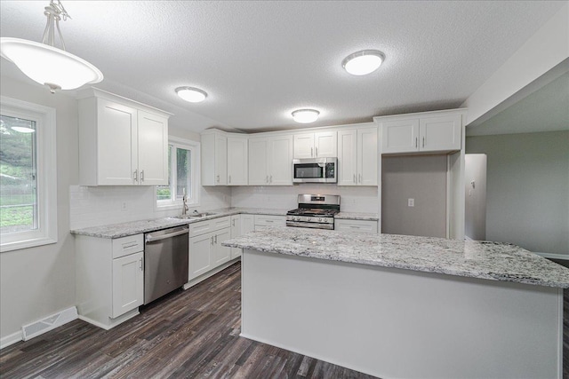 3667 205th St W, Farmington, MN 55024 - kitchen featuring appliances with stainless steel finishes, plenty of natural light, white cabinets, and a textured ceiling