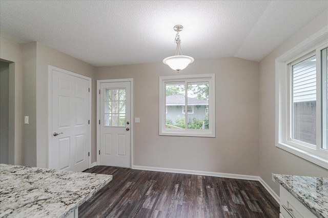 3667 205th St W, Farmington, MN 55024 - unfurnished dining area with dark wood-style floors and a textured ceiling