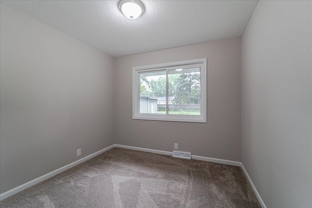 3667 205th St W, Farmington, MN 55024 - empty room featuring a textured ceiling and carpet