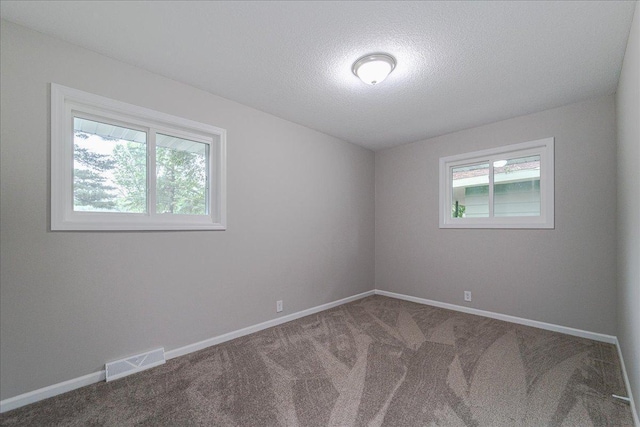 3667 205th St W, Farmington, MN 55024 - spare room with healthy amount of natural light, carpet, and a textured ceiling