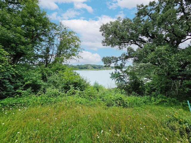 10732 Stillwater Blvd N, Lake Elmo, MN 55042 - photo 26
