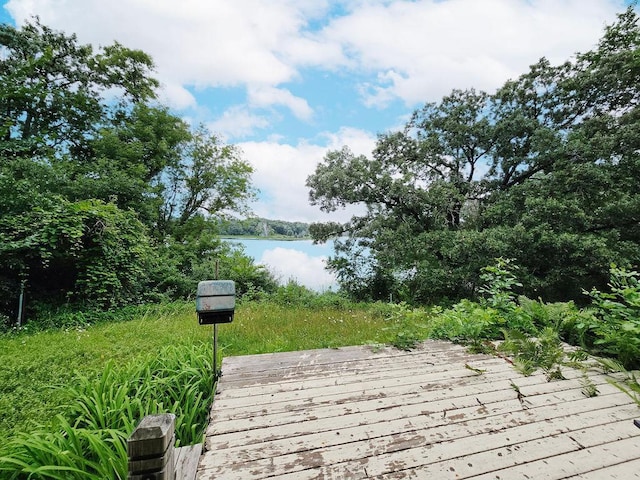 10732 Stillwater Blvd N, Lake Elmo, MN 55042 - photo 27