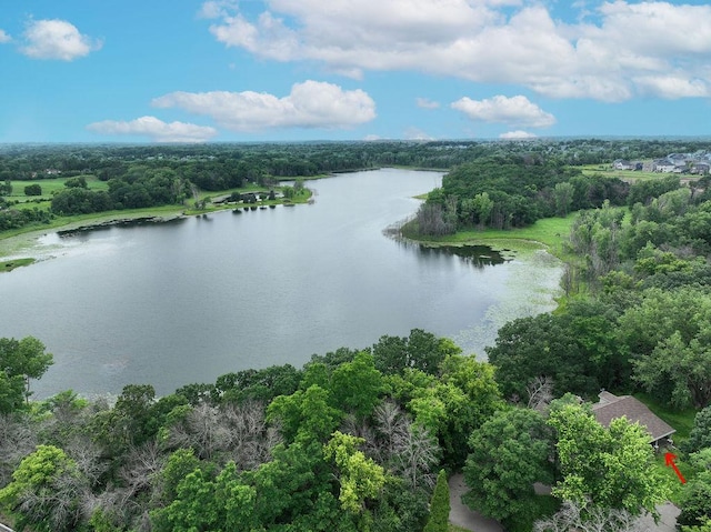 10732 Stillwater Blvd N, Lake Elmo, MN 55042 - photo 33
