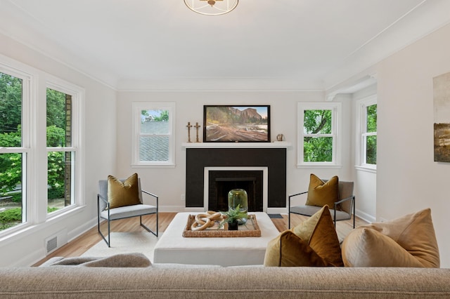 4236 22nd Ave S, Minneapolis, MN 55407 - living area featuring wood finished floors, a fireplace, and crown molding