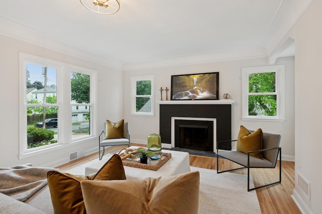 4236 22nd Ave S, Minneapolis, MN 55407 - living area featuring light wood-type flooring and a fireplace with flush hearth