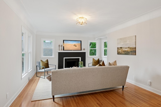 4236 22nd Ave S, Minneapolis, MN 55407 - living area featuring a fireplace and light wood-style flooring