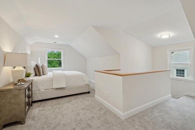 4236 22nd Ave S, Minneapolis, MN 55407 - bedroom with carpet floors and lofted ceiling