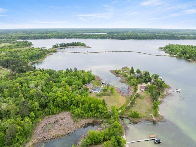19596 Eastwood Dr, Nevis, MN 56467 - photo 3