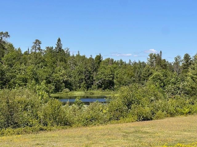 1383 Kelly Trl, Stony River Twp, MN 55607 - water view featuring a heavily wooded area