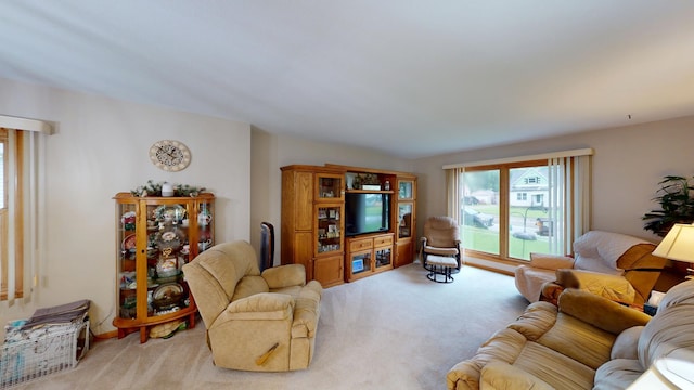 216 1st St, Kiester, MN 56051 - view of carpeted living room