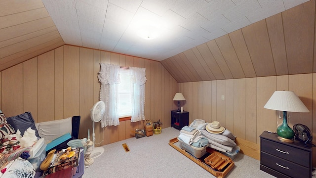 216 1st St, Kiester, MN 56051 - additional living space with vaulted ceiling, carpet, and wooden walls