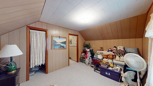 216 1st St, Kiester, MN 56051 - bonus room with wood walls, lofted ceiling, and carpet