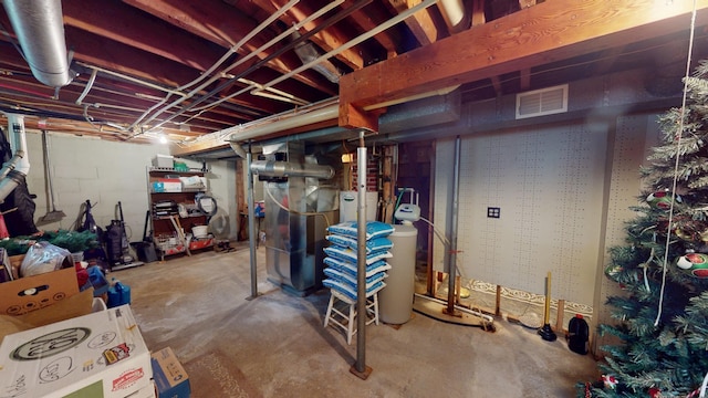 216 1st St, Kiester, MN 56051 - unfinished basement featuring heating unit and a water softener