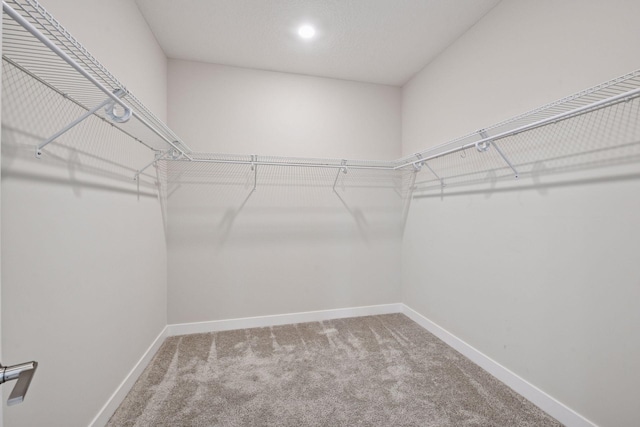 5743 Meridian Way NE, Prior Lake, MN 55372 - walk in closet with carpet flooring