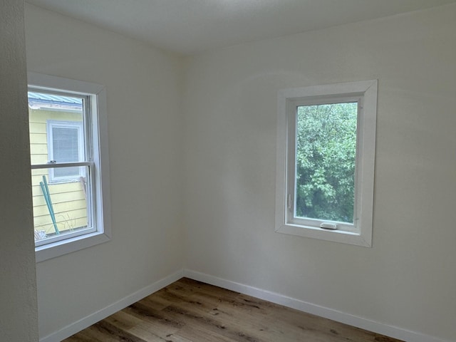 251 Colfax Ave NE, Hector, MN 55342 - spare room featuring plenty of natural light and wood finished floors