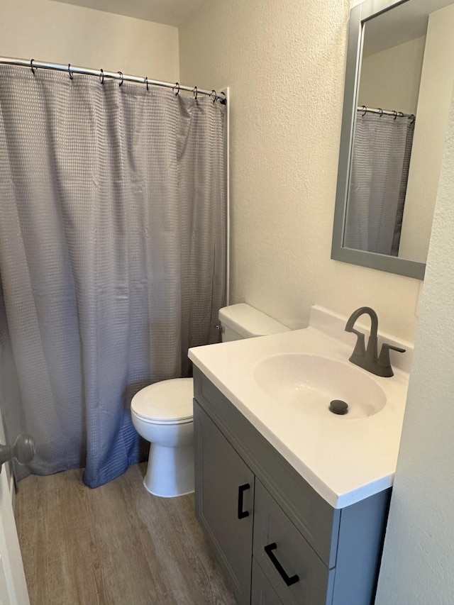 251 Colfax Ave NE, Hector, MN 55342 - bathroom with wood finished floors, vanity, a textured wall, and a shower with curtain