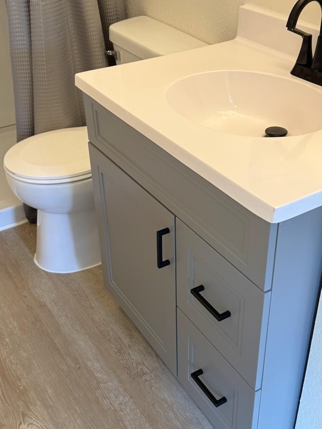 251 Colfax Ave NE, Hector, MN 55342 - full bathroom with wood finished floors, vanity, and a shower with curtain