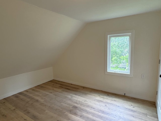 251 Colfax Ave NE, Hector, MN 55342 - bonus room with vaulted ceiling and light wood-style flooring